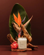 Load image into Gallery viewer, LIMA DOUBLE WICKED SOY CANDLE (16oz / 453g)