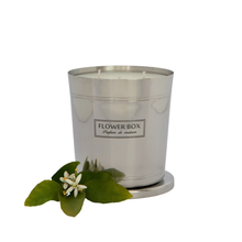 Load image into Gallery viewer, Hallmark Candle|| Fig Leaf & Cedar (1KG)