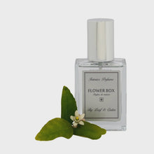 Load image into Gallery viewer, Interior Perfume | Room Spray  || Fig Leaf & Cedar