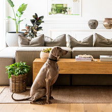 Load image into Gallery viewer, Fraser Indoor / Outdoor Mats and Rugs