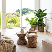 Load image into Gallery viewer, Bates Indoor / Outdoor Mats and Rugs