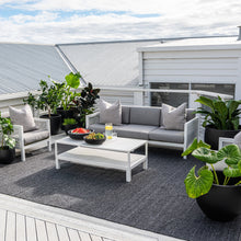 Load image into Gallery viewer, Clements Indoor / Outdoor Mats and Rugs