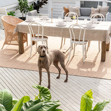 Load image into Gallery viewer, Fraser Indoor / Outdoor Mats and Rugs