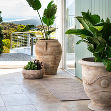 Load image into Gallery viewer, Fraser Indoor / Outdoor Mats and Rugs