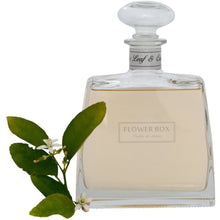 Load image into Gallery viewer, Luxury Hallmark Diffuser | Fig Leaf & Cedar