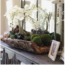 Load image into Gallery viewer, White Orchid with Moss