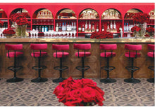 Load image into Gallery viewer, By Invitation Only | Bruce Keebaugh