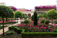 Load image into Gallery viewer, Forever Green || Carlos Mota