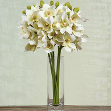Load image into Gallery viewer, Orchid Cymbidium | White