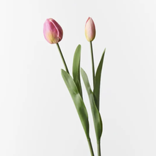 Load image into Gallery viewer, Tulip Bud & Bloom | Fuschia