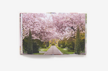 Load image into Gallery viewer, London in Bloom by Georgianna Lane