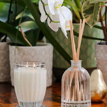 Load image into Gallery viewer, Peppermint Grove - Candle | Camellia & Lotus Blossom