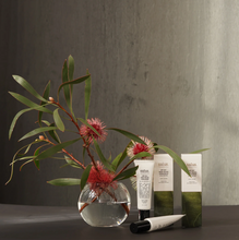 Load image into Gallery viewer, SPF50+ Daily Facial Sunscreen | SALUS