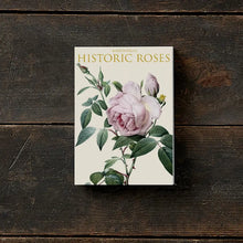 Load image into Gallery viewer, Cardfolder - Historic Roses - Set 8