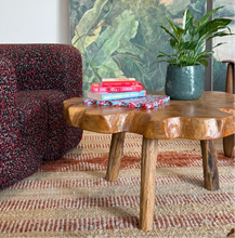 Load image into Gallery viewer, Pinchy