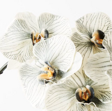 Load image into Gallery viewer, Orchid - Philaenopsis- Grey | Fauxliage
