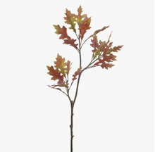 Load image into Gallery viewer, Oak Leaf | Fauxliage
