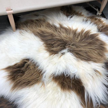 Load image into Gallery viewer, Icelandic Sheepskin Rug White Brown Spot from Hides of Excellence available at Unearthed Homewares