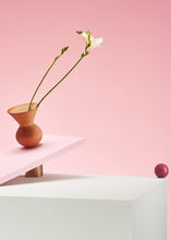 Load image into Gallery viewer, Ashley & Co - Wash Up - Top Up | Blossom + Gilt