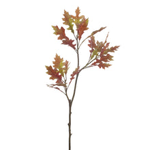 Load image into Gallery viewer, Oak Leaf Spray Faux at Unearthed Homewares