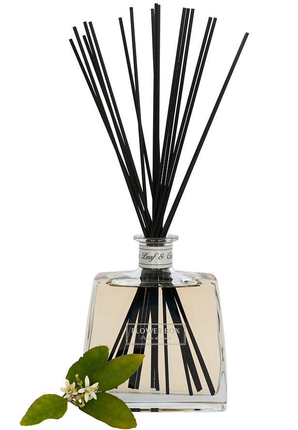 Luxury Hallmark Diffuser | Fig Leaf & Cedar