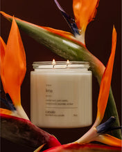 Load image into Gallery viewer, LIMA DOUBLE WICKED SOY CANDLE (16oz / 453g)
