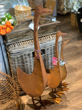 Load image into Gallery viewer, Runner Ducks | Garden
