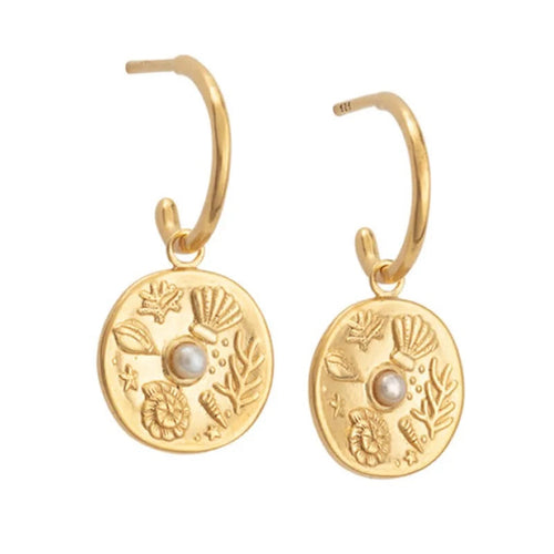 Delicate gold hoop with medallion and shell details, small pearl, tarnish free, waterproof, Greenwood designs