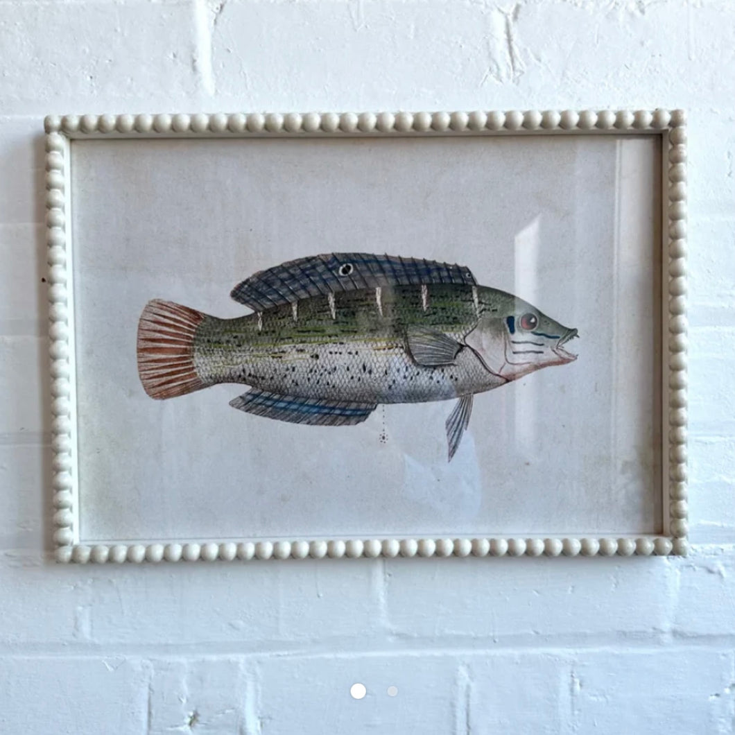 Pez Frame Fish Art