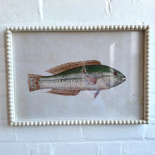 Load image into Gallery viewer, Pez Frame Fish Art
