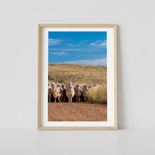 Load image into Gallery viewer, THE HERD - Xan MacAlpine
