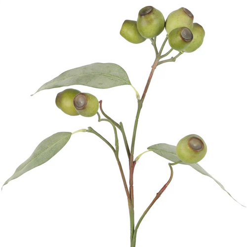 Gum nuts, pods and leaf stem at Unearthed Homewares, 65cm