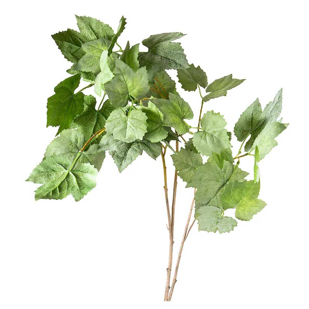 Leaf Grape- Green