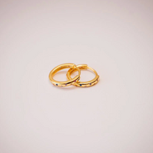 Load image into Gallery viewer, Gold Tiny Sparkle Hoop Earrings | Greenwood
