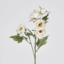 Load image into Gallery viewer, Peony Spray
