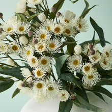 Load image into Gallery viewer, White Flowering Eucalyptus Spray
