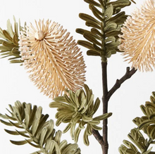 Load image into Gallery viewer, Banksia Spray - Cream
