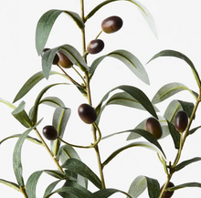 Load image into Gallery viewer, Olive Leaf Spray
