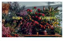 Load image into Gallery viewer, Bush Flowers by Cassandra Hamilton &amp; Michael Pavlov
