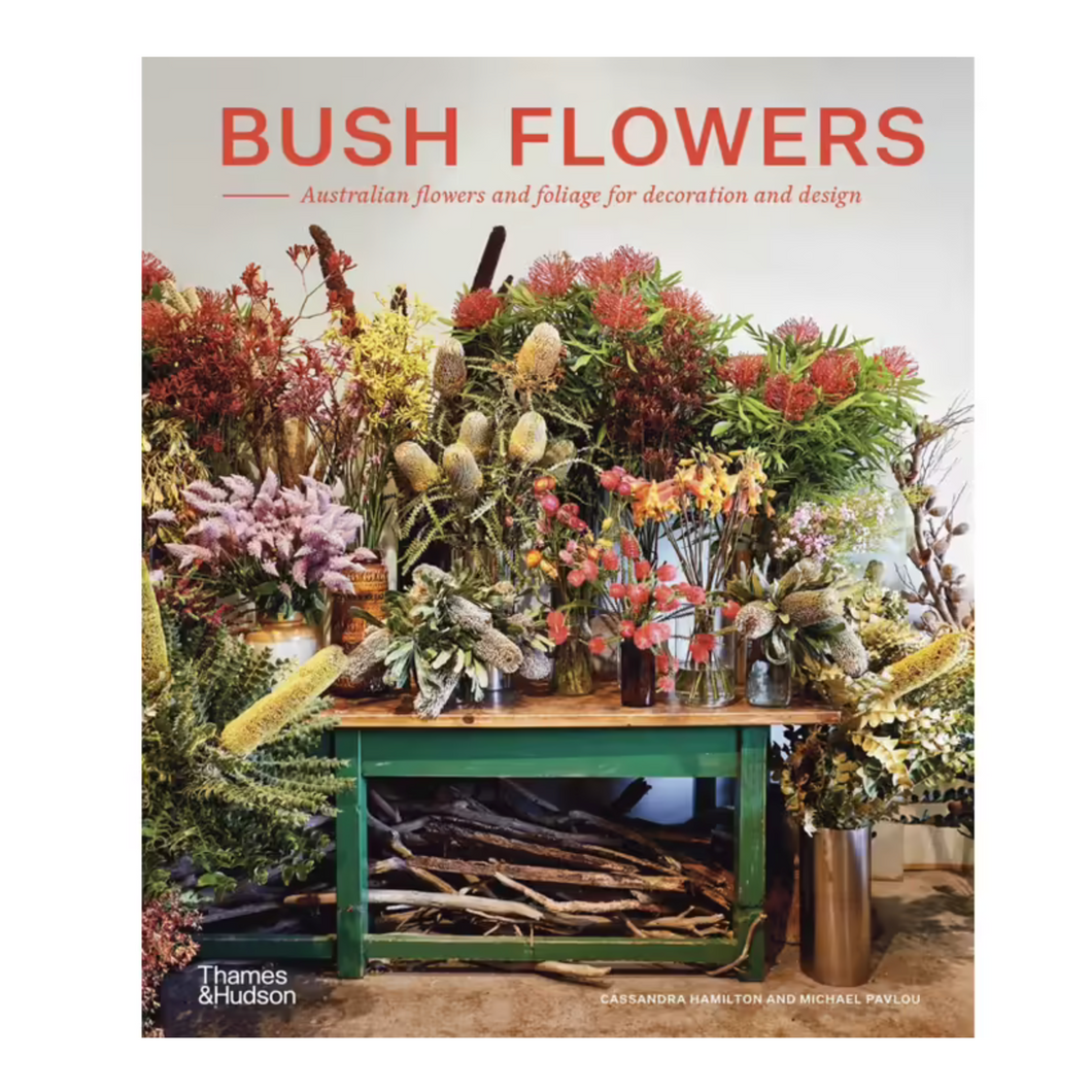 Bush Flowers by Cassandra Hamilton & Michael Pavlov