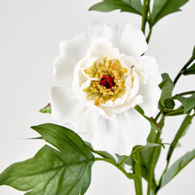 Load image into Gallery viewer, Peony Spray
