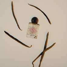 Load image into Gallery viewer, Vanilla Vanilla Extrait de Parfum - 50ml
