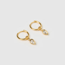Load image into Gallery viewer, Daisy Gold Earrings | Stone
