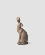 Harold the Hare | Small Brown