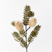 Load image into Gallery viewer, Banksia Spray - Cream
