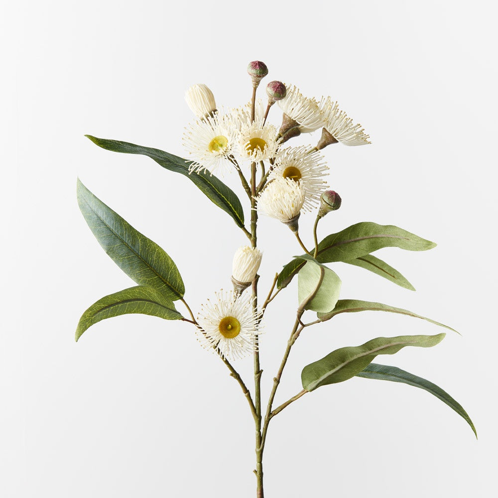 White Flowering Eucalyptus Spray