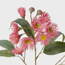 Load image into Gallery viewer, Soft Pink Flowering Eucalyptus Spray
