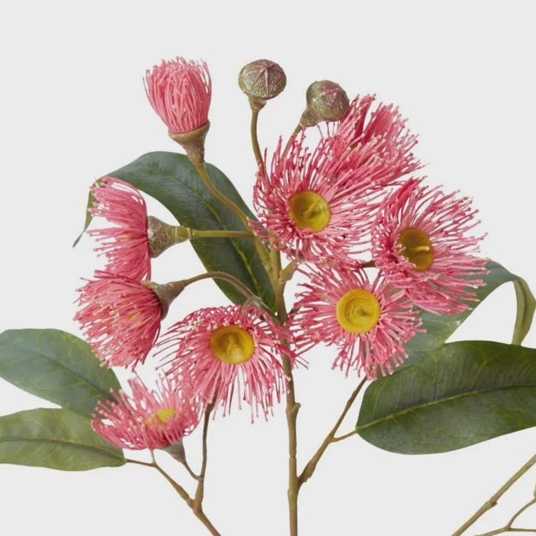 Soft Pink Flowering Eucalyptus Spray