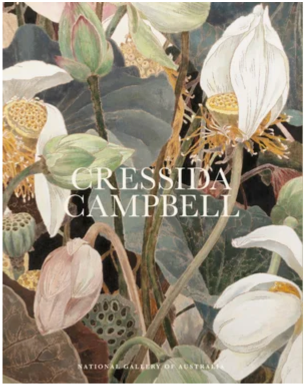 Cressida Campbell || National Gallery of Australia