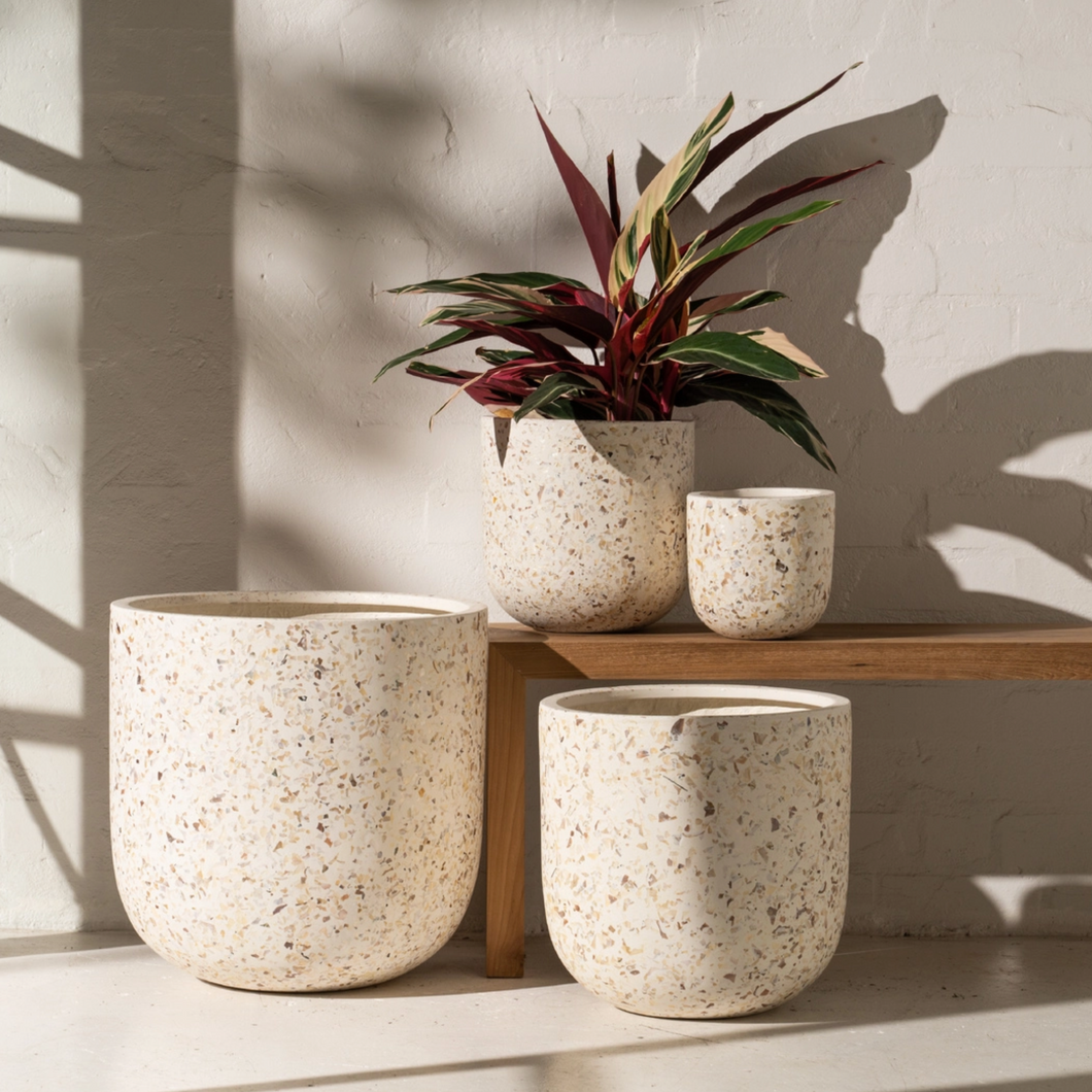 Shell Planter in various sizes